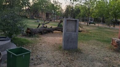 Churu News : बूंद-बूंद को तरसता चूरू का यह ऐतिहासिक पार्क, हरियाली हो रही खत्म