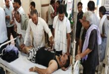 Bee Attack : खौफनाक मंजर: मधुमक्खियों के हमले ने छीनी बुजुर्ग की जिंदगी