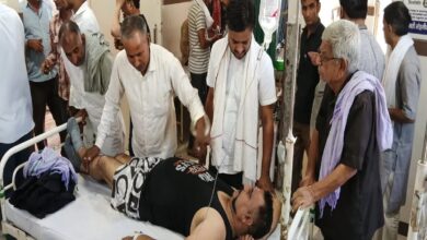 Bee Attack : खौफनाक मंजर: मधुमक्खियों के हमले ने छीनी बुजुर्ग की जिंदगी