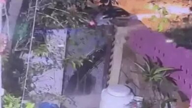 अलवर में शातिर चोरों का कारनामा: मिनटों में कर ले गए कार चोरी, CCTV में कैद हुई वारदात