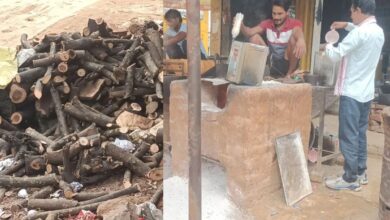 Rajasthan : LPG गैस संकट का असर: लकड़ी बाजार में उछाल, एक हफ्ते में दाम लगभग दोगुने, जानें भाव