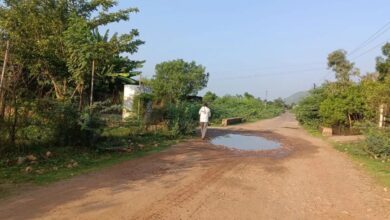 राजस्थान में 100 करोड़ का मेगा हाईवे कब होगा पूरा? सैकड़ों गांवों को जोड़ेगा मार्ग