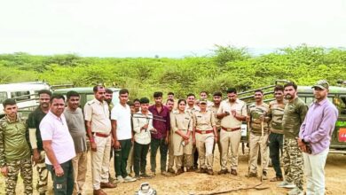 Bundi : निमोद गांव के खेतों में पहुंची बाघिन, किसानों में दहशत