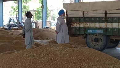 नियति के दिए जख्म सूखे भी नहीं,अब सरकारी सिस्टम फूला रहा सांसें