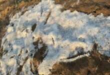 Weather News : जब आसमान हुआ नाराज़ : ओलावृष्टि और बिजली ने बढ़ाई चूरू की धड़कनें