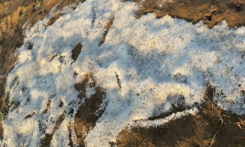 Weather News : जब आसमान हुआ नाराज़ : ओलावृष्टि और बिजली ने बढ़ाई चूरू की धड़कनें