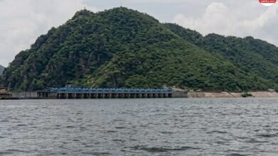 मानसून मेहरबान: बीसलपुर बांध में 5 दिन में 83 दिन की सप्लाई जितना आया पानी, पेयजल संकट से राहत