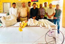 Rajasthan: राजस्थान में अवैध हथियार फैक्ट्री का भंडाफोड़, घर के पीछे बन रही थीं बंदूकें, भारी जखीरा बरामद