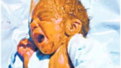 जालोर: नवजात को जन्म के 2 घंटे बाद सीमेंट के कट्टे में भर झाड़ियों में फेंका, शरीर पर रेंगते मिले कीड़े, 20 घाव भी