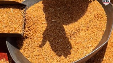 Rajasthan Government Order : राजस्थान सरकार ने गेहूं खरीद के लिए जारी की नई गाइडलाइन, भाकिसं ने जताई खुशी