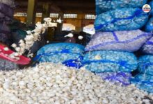 Garlic Price Hike : बारां कृषि मंडी में लहसुन के 5,000 कट्टे की आवक, भावों में 3000 रुपए का उछाल, किसान खुश