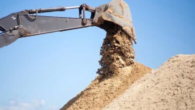 संपादकीय: अनदेखी कर रहे अफसरों पर कोर्ट का सीधा प्रहार