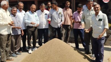 Mandi Bhav: जीरा-सौंफ के भाव में बड़ी गिरावट, 15 दिन में जीरा 4 हजार रुपए टूटा, जानें ताजा मंडी भाव