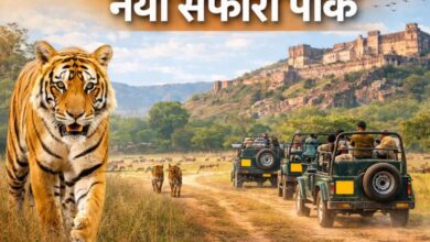 New Safari Park: पर्यटकों के लिए खुशखबरी, रणथंभौर में बनेगा नया सफारी पार्क; वन विभाग ने मांगी जमीन